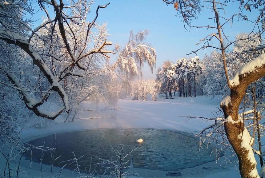 Vozdvizhenskoe Park Hotel Avangard Luaran gambar