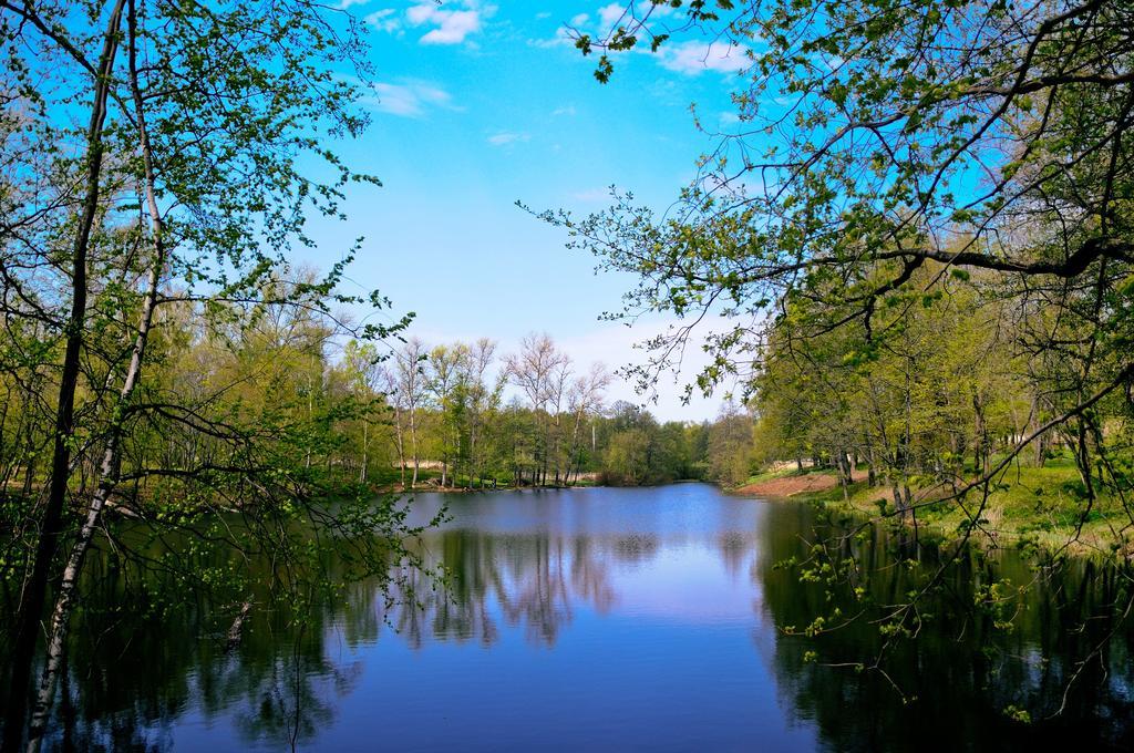 Vozdvizhenskoe Park Hotel Avangard Luaran gambar